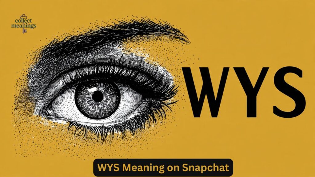 WYS Meaning on Snapchat