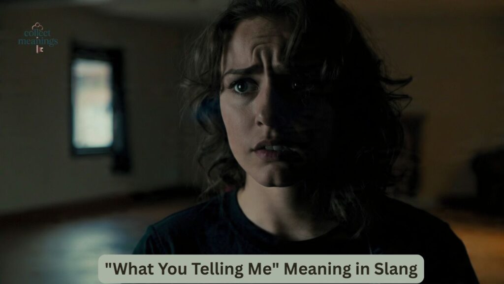 "What You Telling Me" Meaning in Slang