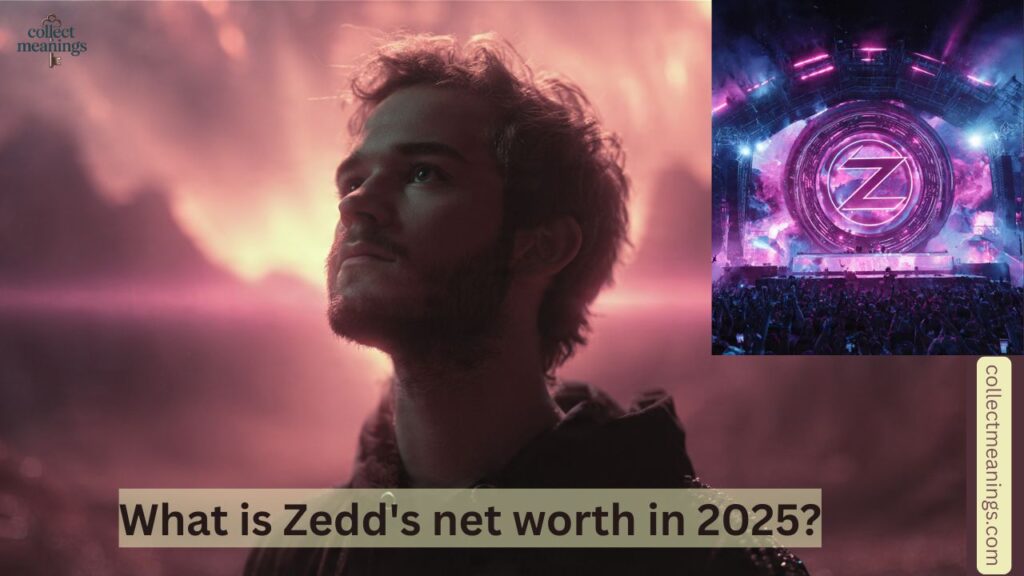 What is Zedd's net worth in 2025?