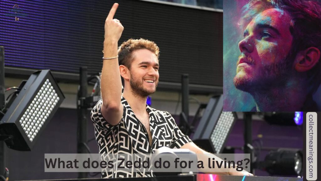 What does Zedd do for a living?