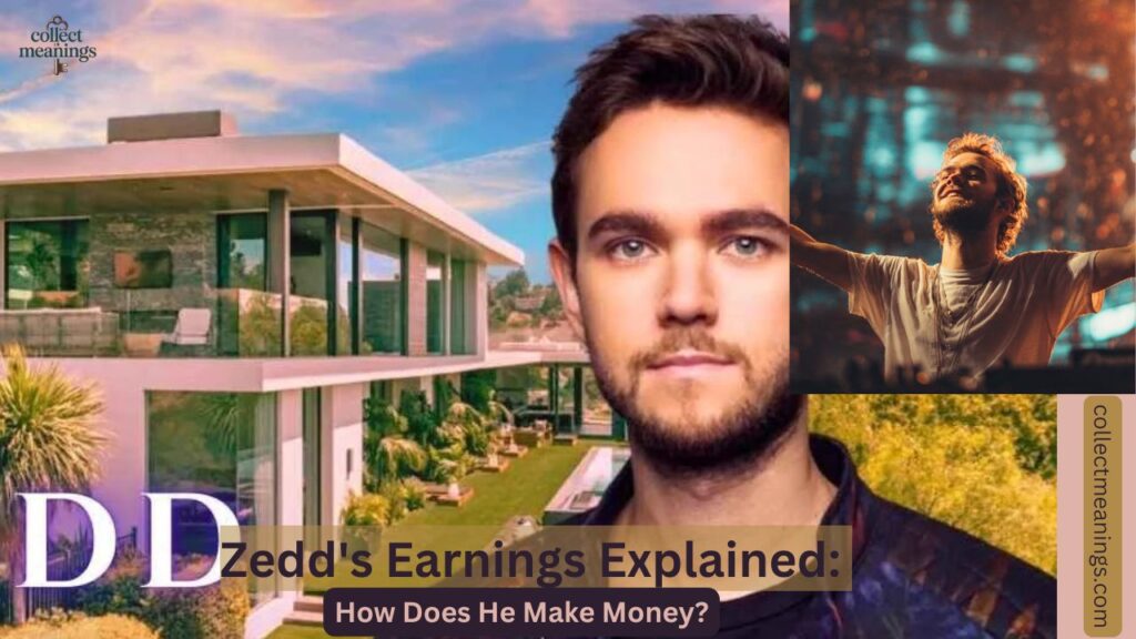 Zedd's Earnings Explained: How Does He Make Money?