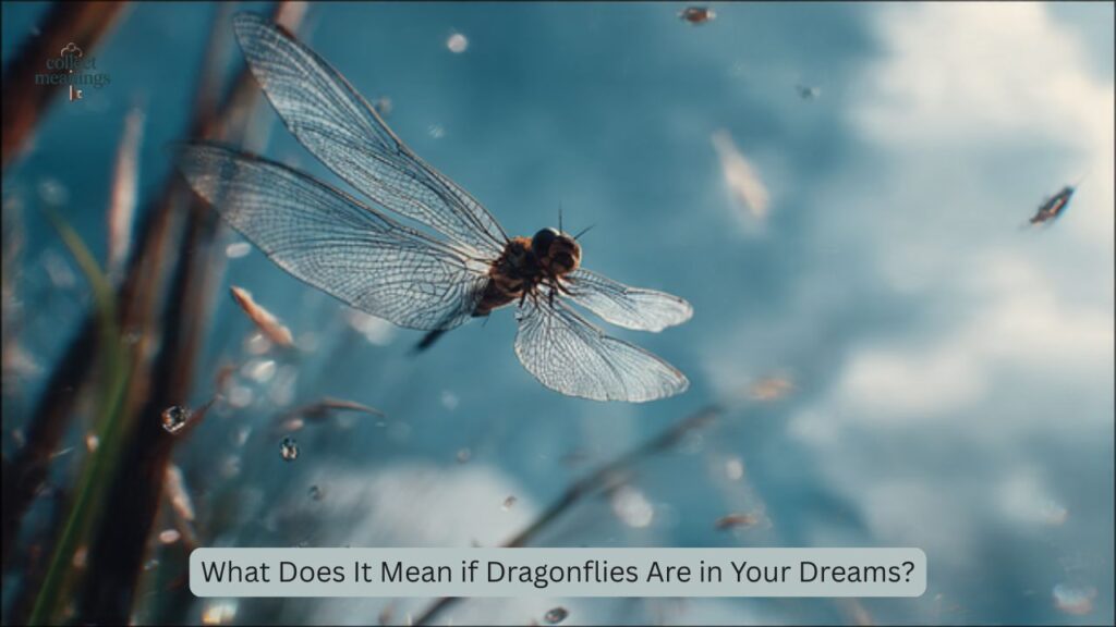 What Does It Mean if Dragonflies Are in Your Dreams?
