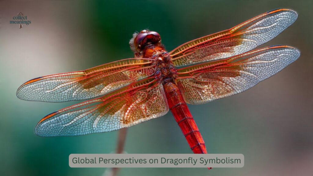 Global Perspectives on Dragonfly Symbolism