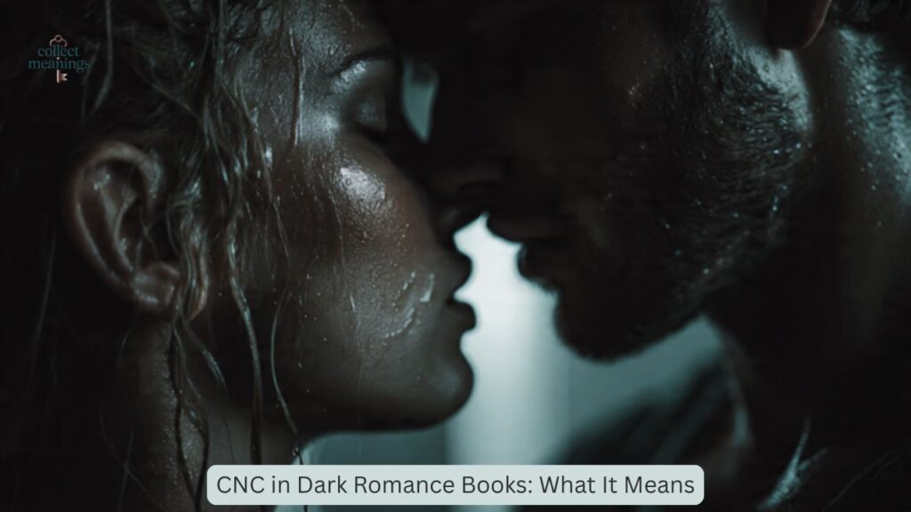 CNC in Dark Romance Books: What It Means