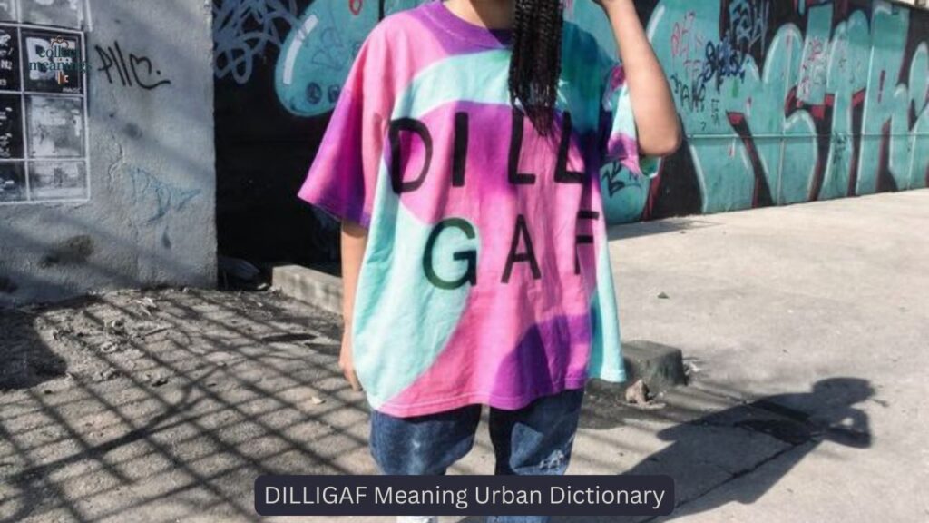 DILLIGAF Meaning Urban Dictionary