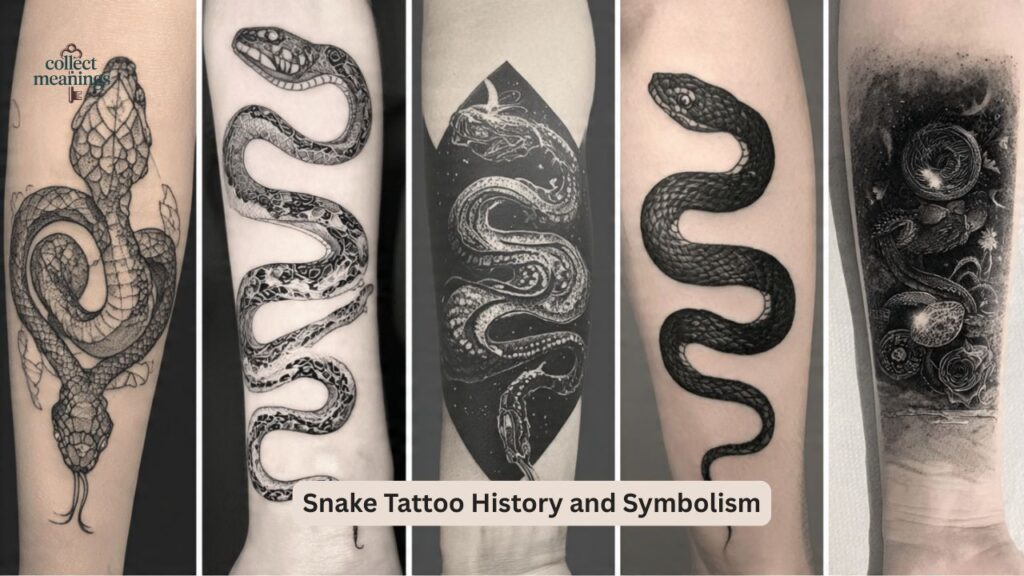 Snake Tattoo History and Symbolism