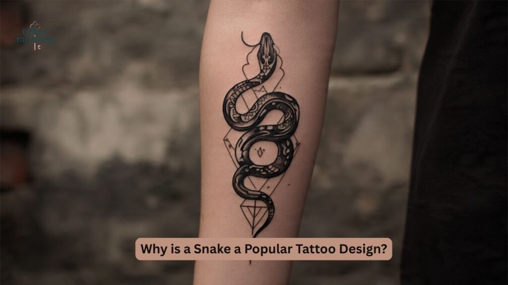 Why is a Snake a Popular Tattoo Design?