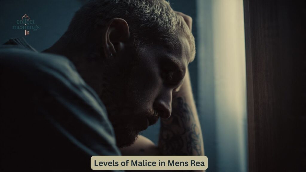 Levels of Malice in Mens Rea