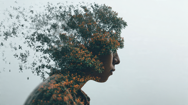 Metanoia Meaning & Examples: A Guide to Transformation