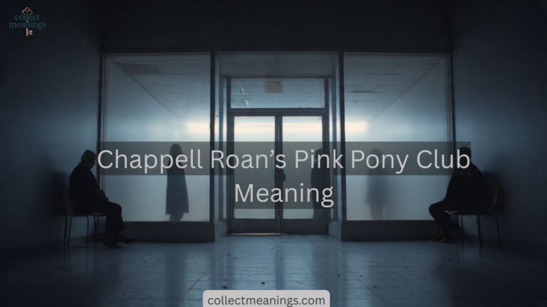 Chappell Roan’s Pink Pony Club Meaning