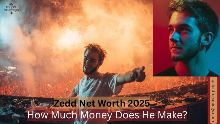 Zedd Net Worth 2025: How Much Money Does He Make?