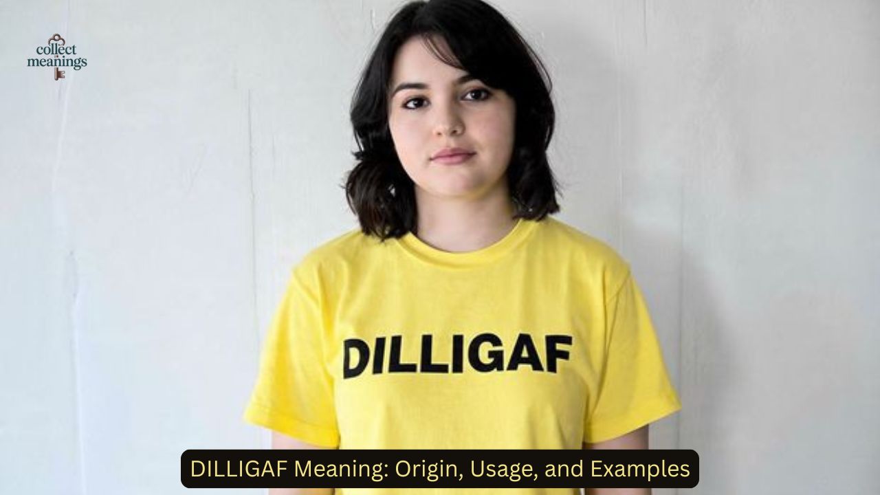 DILLIGAF Meaning: Origin, Usage, and Examples